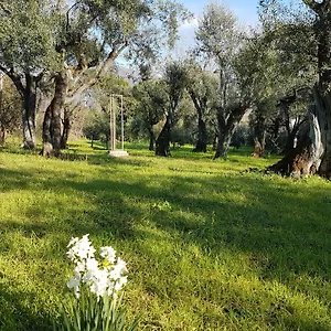 Antico Uliveto Casa di campagna Seravezza